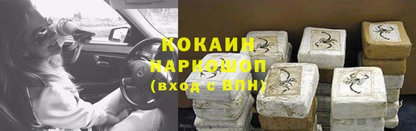 крисы Верея