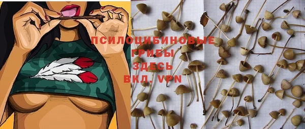 ALPHA PVP Володарск