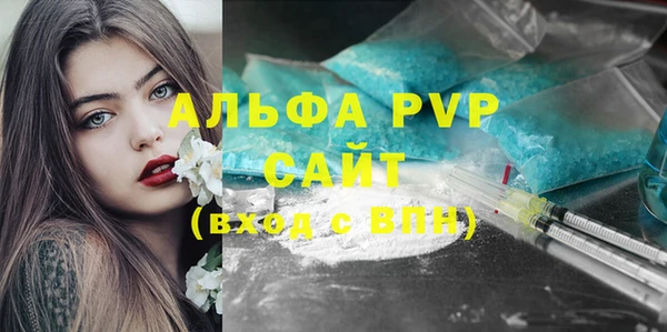 сатива Волоколамск